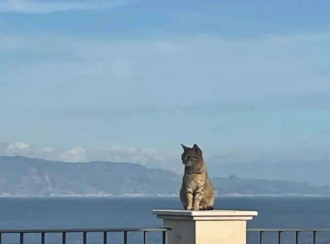 农家乐 Bella Vista - Da Carmelo *